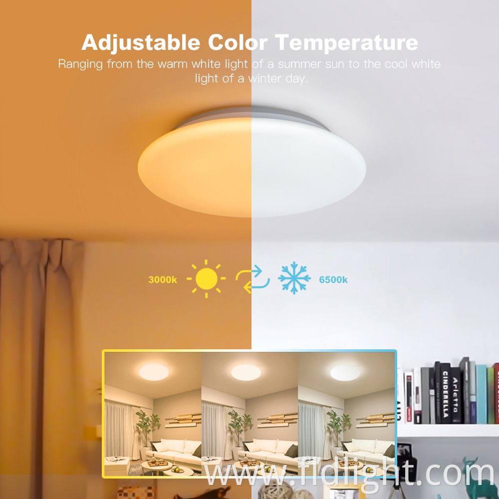 Smart App Alexa Dimmable Light Fixture